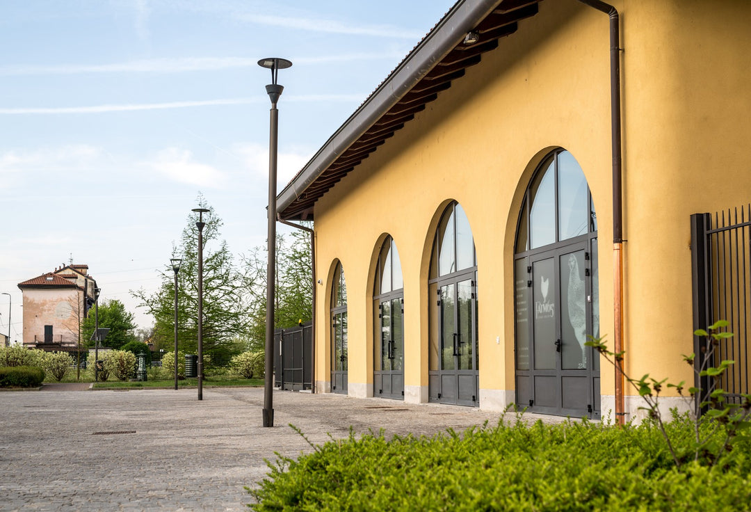 Farm 65 - La genesi